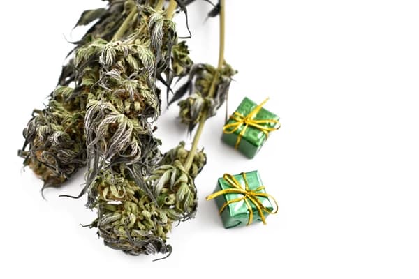 Weed_Gifts Weed Gift Ideas
