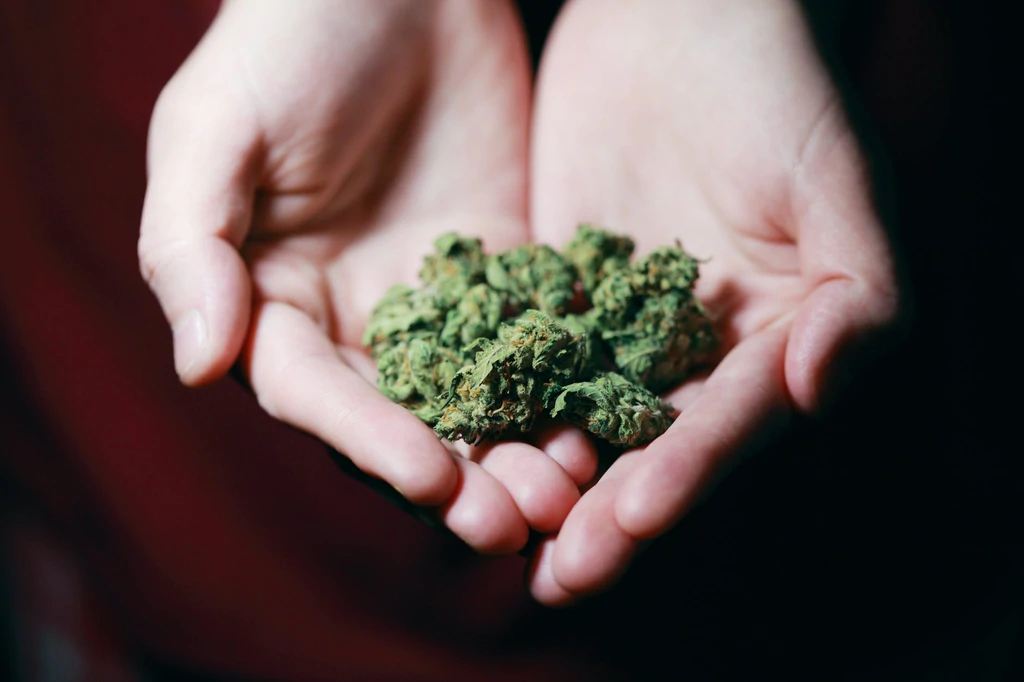 Cannabis Products Cannabis Products Niagara