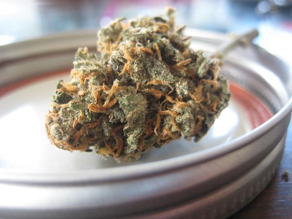 the_dispensary_grande_8182342a-1a11-40b0-a11a-93ce76042293_1024x1024 Niagara Dispensary