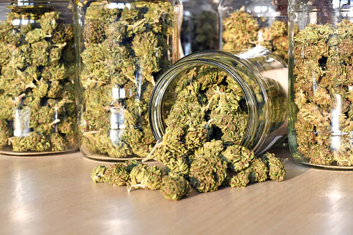 honeypot Toronto Weed